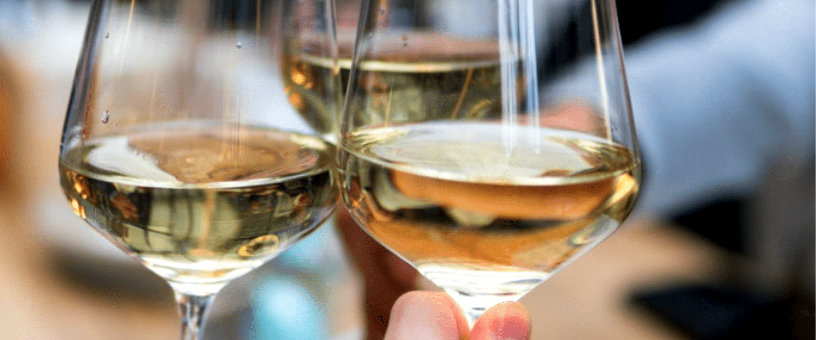 Comment est fait le vin blanc : les étapes de la vinification - Oenotourisme