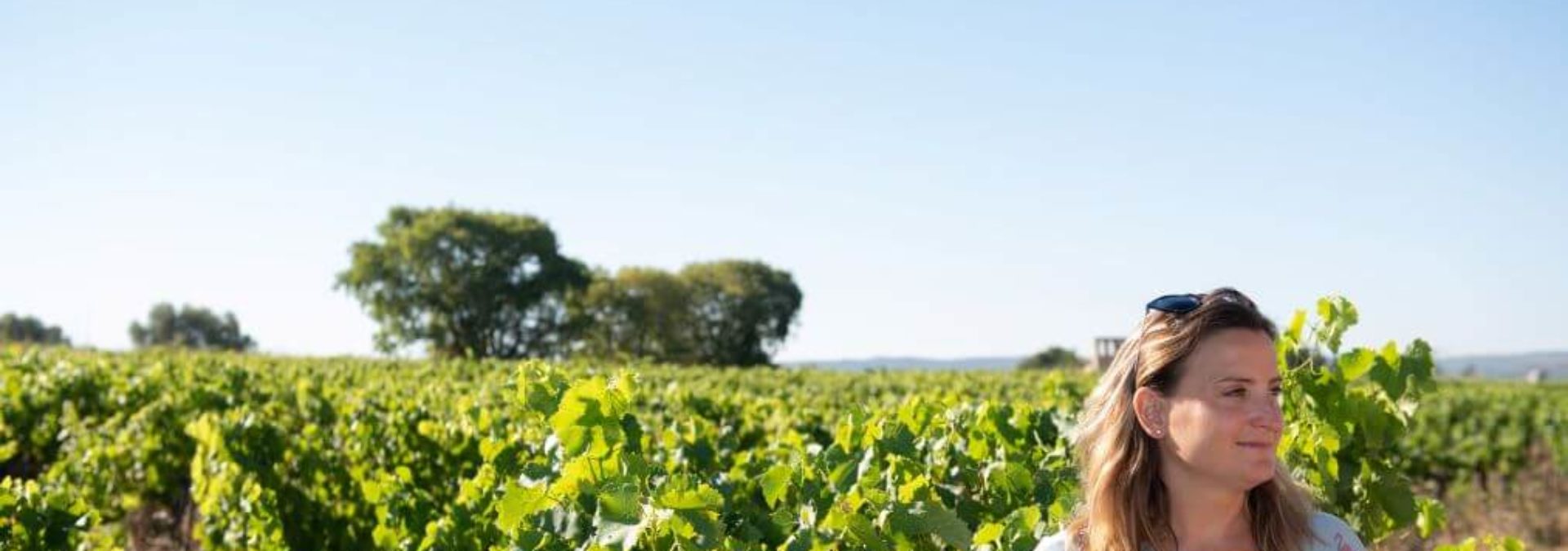 Domaine La Folie Vigneronne