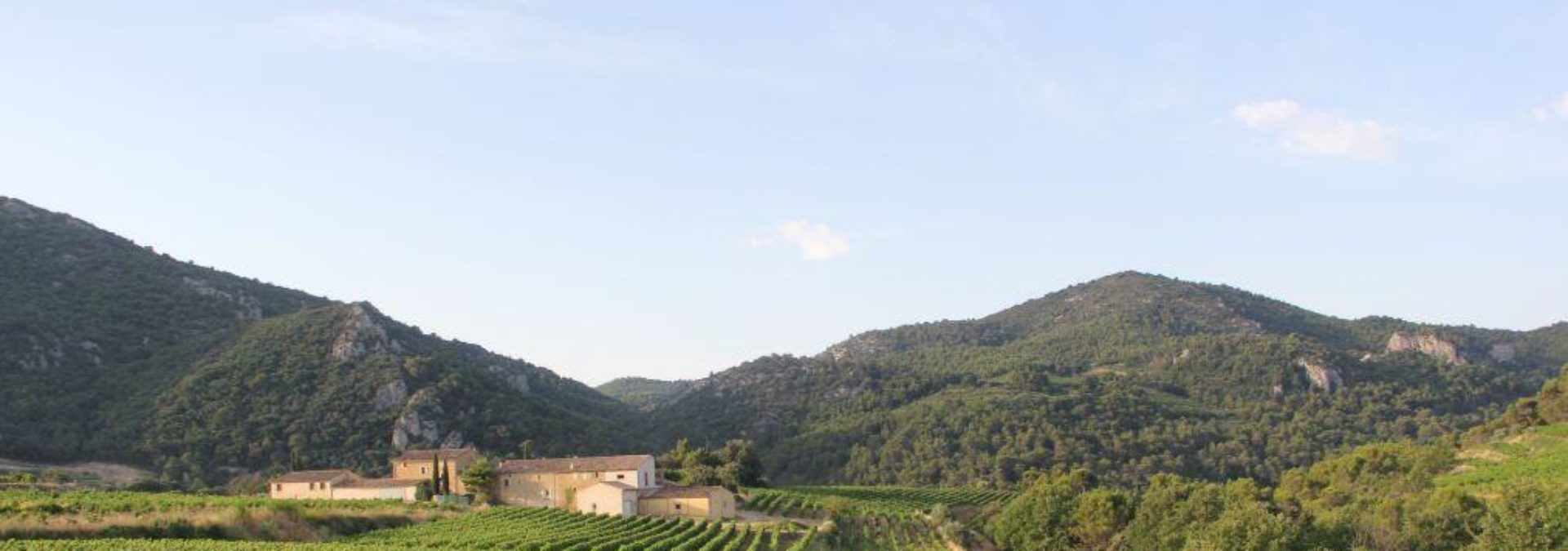 Domaine ROUBIOOU