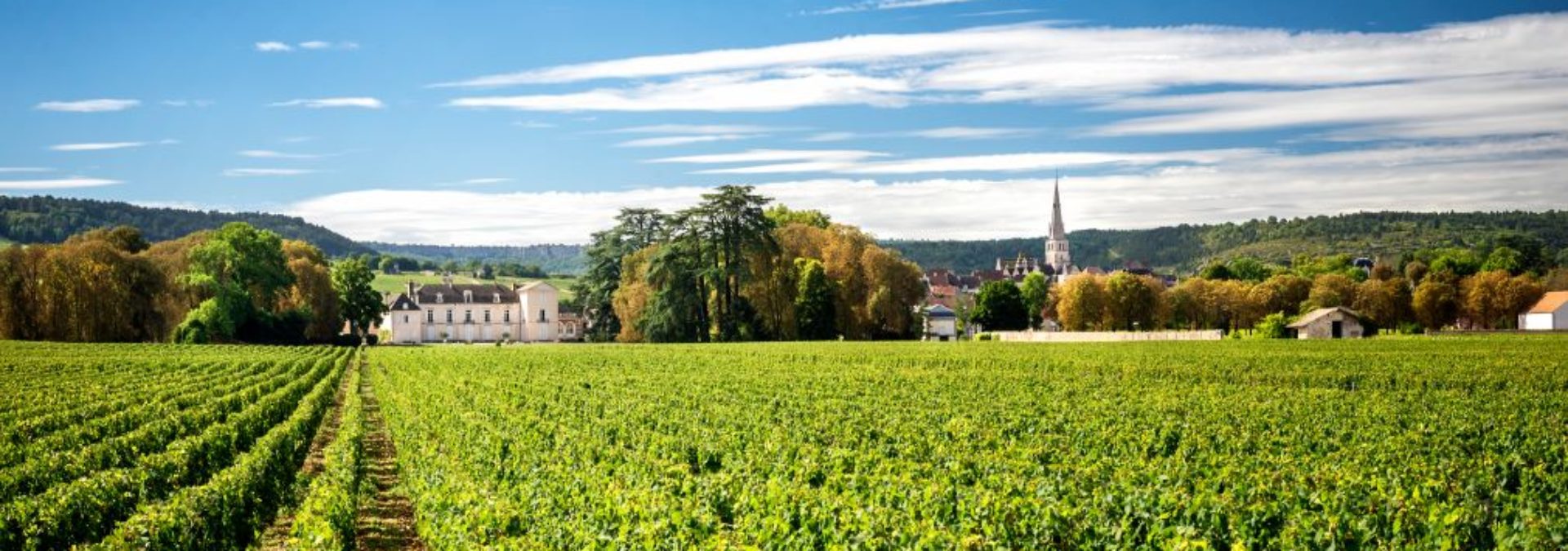 Château de Meursault