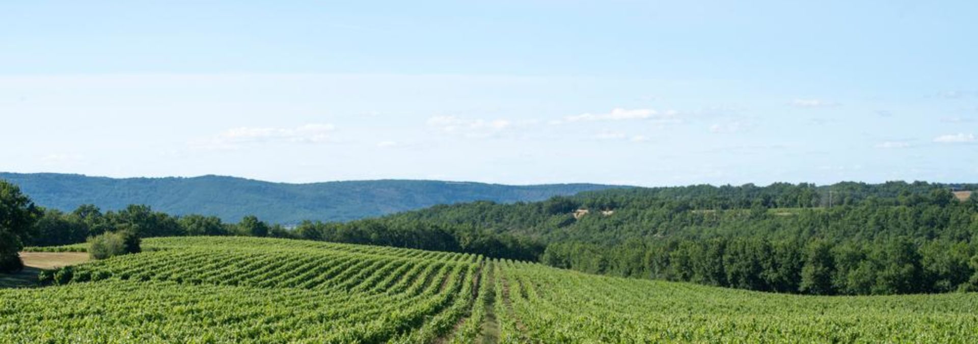 Domaine Plageoles